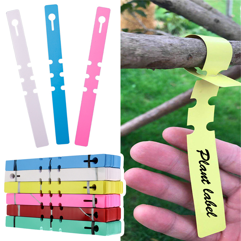 Gardening Tools Labeled - 50 Stück wasserdichte Pflanzenmarkierungen aus Kunststoff