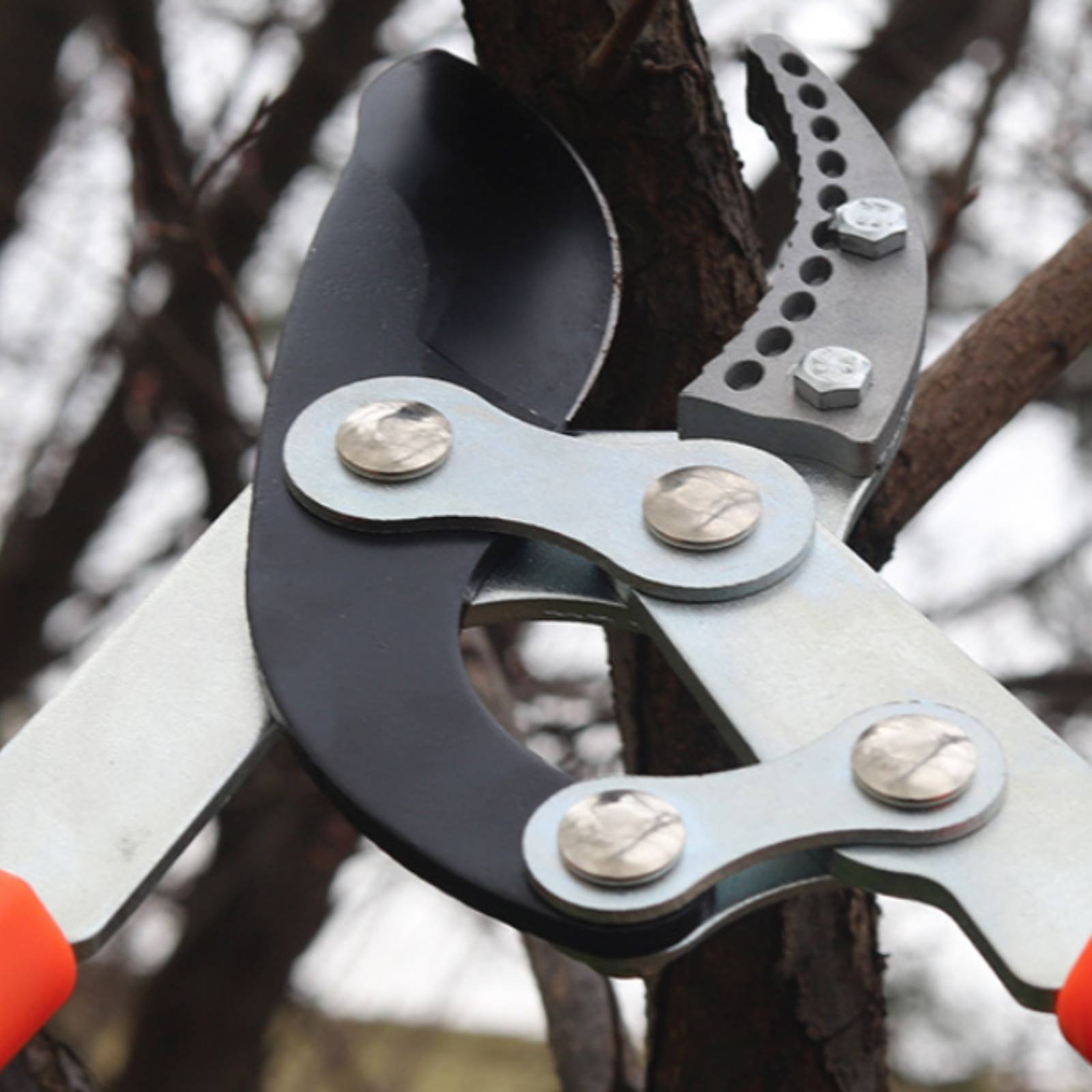 Gardening Tools Of - Teleskopische Astschere mit Scharfer Klinge, Robuste