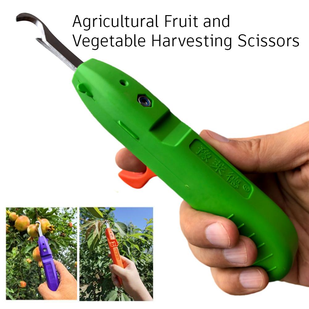 Gartenschere für Gartenarbeit  – Gardening Tools Scissors Bewertung und Preis