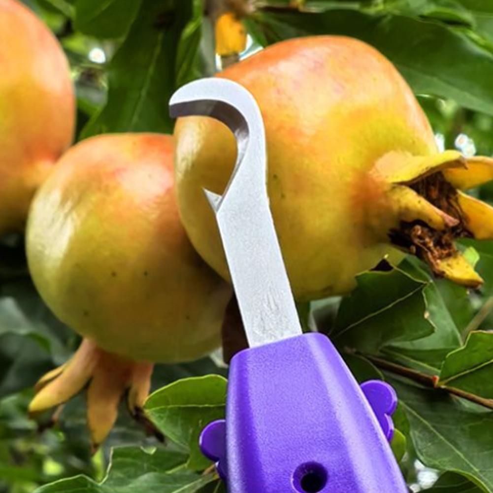 Gartenschere für Gartenarbeit  – Gardening Tools Scissors Bewertung und Preis