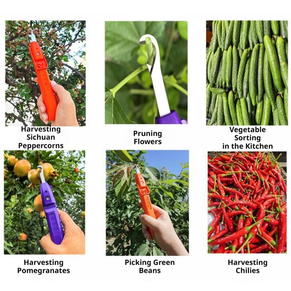 Gartenschere für Gartenarbeit  – Gardening Tools Scissors Bewertung und Preis