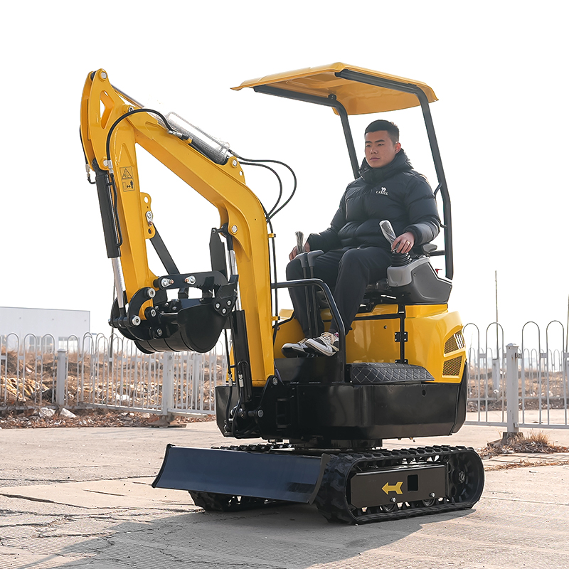 Arbeitssparender Elektrostart- – Gardening Tools Electric Bewertung und Preis