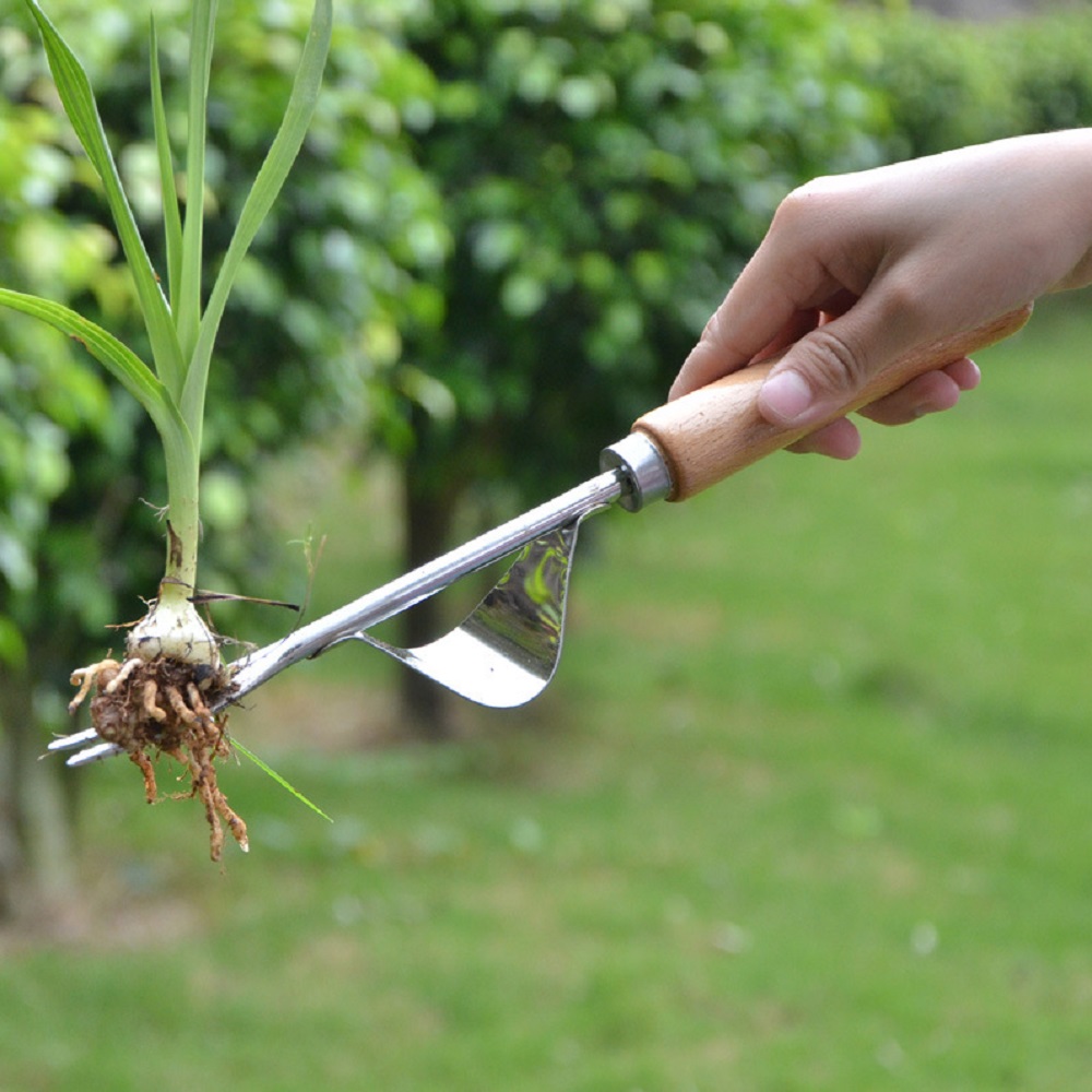 1/2 Stück Manueller Unkrautent – Gardening Tools To Remove Grass Bewertung und Preis