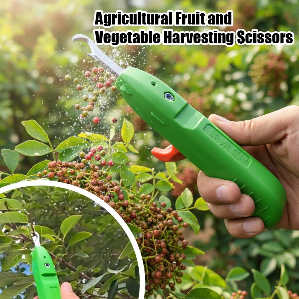 Obst- und Gemüse-Ernteschere,  – Gardening Tools Scissors Bewertung und Preis