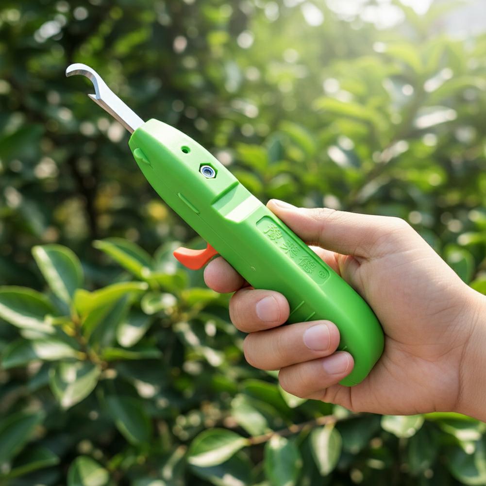 Obst- und Gemüse-Ernteschere,  – Gardening Tools Scissors Bewertung und Preis