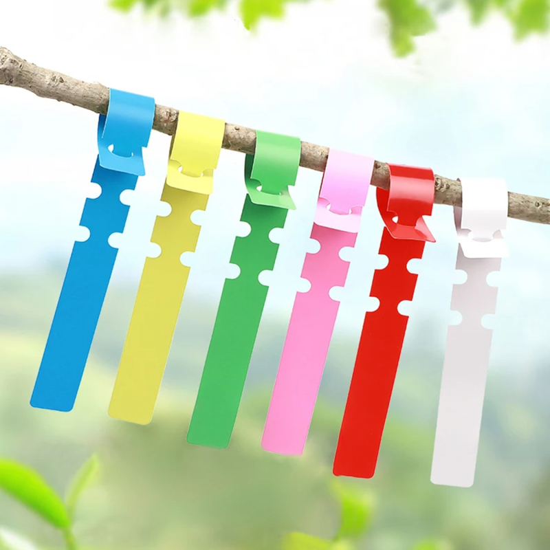100 Stück Wasserdichte Pflanze – Gardening Tools Labeled Bewertung und Preis