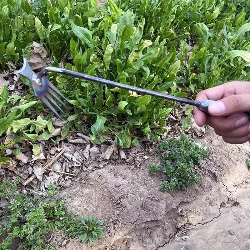 Garten-Unkrautjäter aus Mangan – Gardening Tools To Remove Grass Bewertung und Preis
