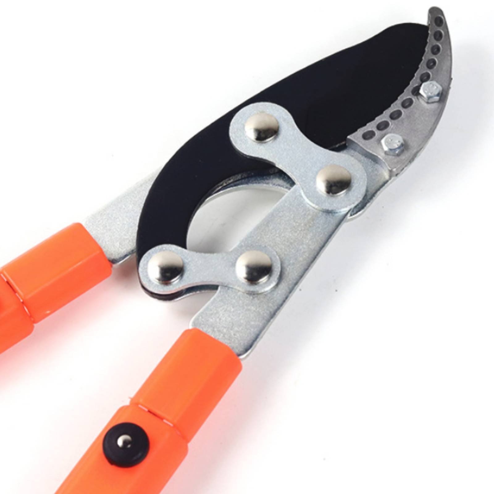 Teleskopische Astschere mit Sc – Gardening Tools Of Bewertung und Preis