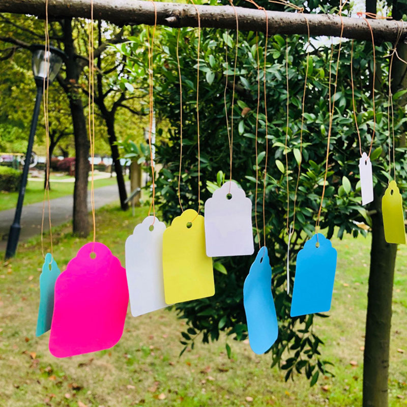 100 Stück Pflanzenetiketten mi – Gardening Tools Labeled Bewertung und Preis