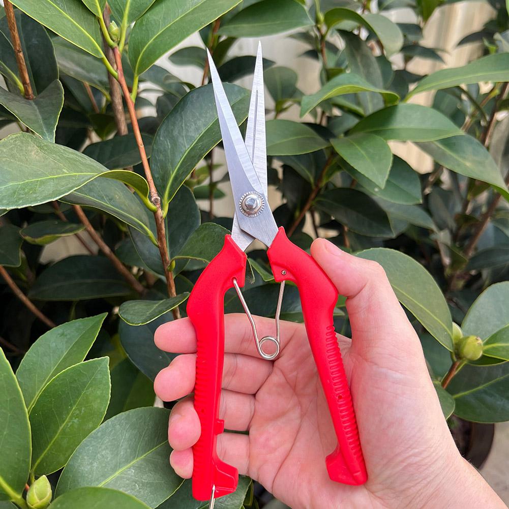 Professionelle Gartenschere Ve – Gardening Tools Scissors Bewertung und Preis