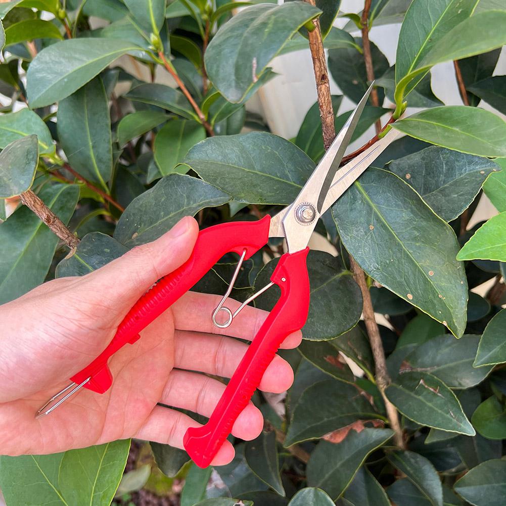 Professionelle Gartenschere Ve – Gardening Tools Scissors Bewertung und Preis