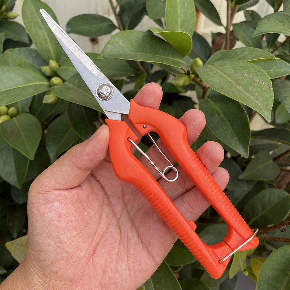 Professionelle Gartenschere Ve – Gardening Tools Scissors Bewertung und Preis