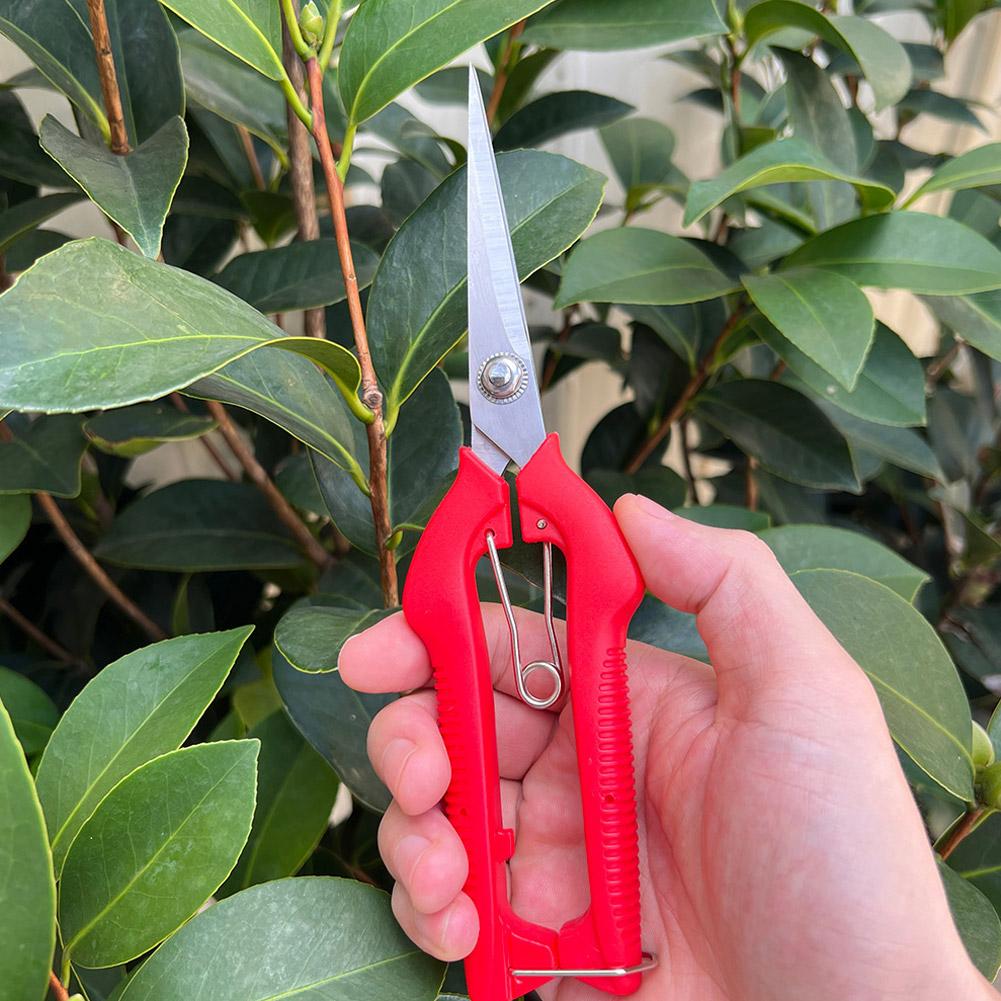Professionelle Gartenschere Ve – Gardening Tools Scissors Bewertung und Preis