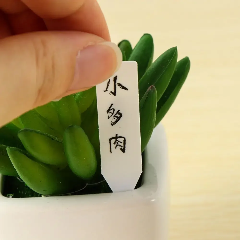 100 Stück wiederverwendbare Kl – Gardening Tools Labeled Bewertung und Preis