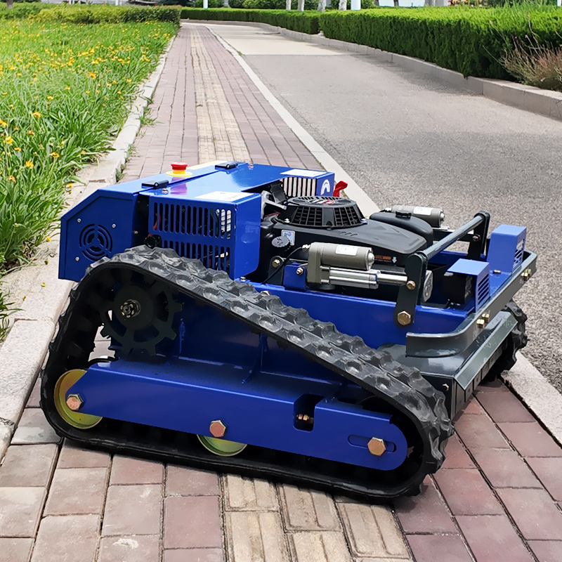 Maßgefertigter CE EPA-zertifiz – Gardening Tools Lawn Mower Bewertung und Preis